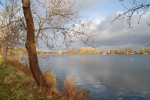 Damhussøen en efterårsdag. Foto: DN