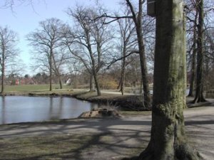 Folkeparken_BP