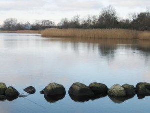 Holckenhavn_Fjord_TGR_2