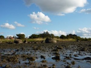 Lønager_Strandpark_1_BP