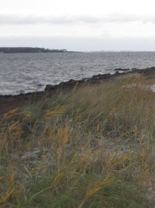 Pavevænget_Strand_TGR