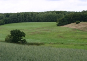 Årslev_Skov_PHH