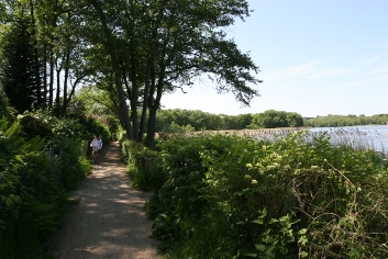 Lyngby Sø-stien