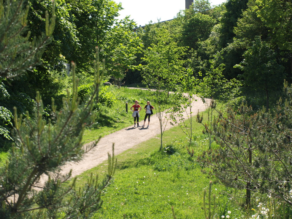 Grøndalen, Grøndalsenge og 5. Juni Plads