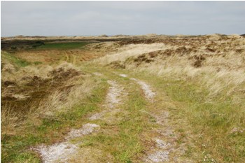 Ålvand Klithede og Førby Sø