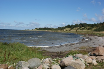 Børrehoved, Orø