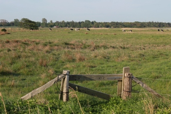 Dyssegården, Orebjerg og Landerslev Strand