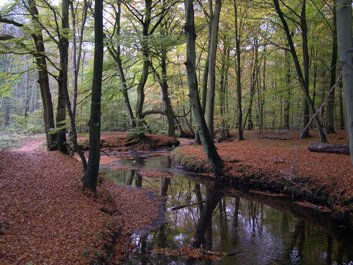 Fulden og Moesgård