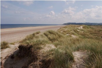 Grønnestrand og Svinkløv