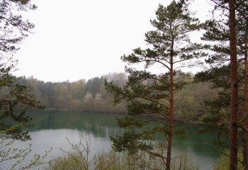 Hasle Lystskov og Hasle Nordkyst