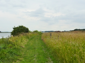 Hasselø og Kalvø
