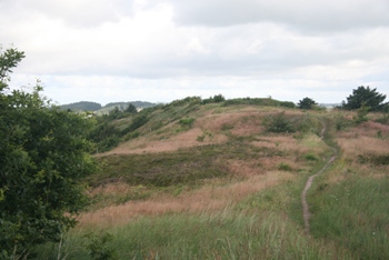 Hjørring Bjerge