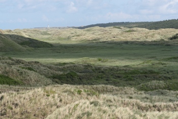 Kærsgård Strand, Liver Å