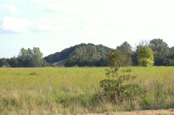 St. Vejleådalen, Kongsholmparken og Mølleparken