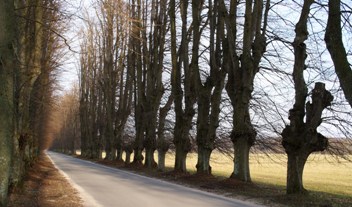 Arealer omkring Gl. Lejre og Ledreborg Allé