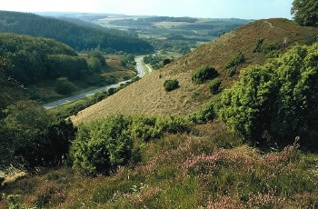 Rold Skov – Gravlevdalen