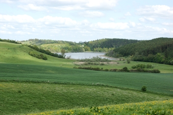 Maglesø og Sophienholm