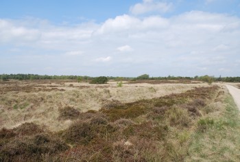 Nørholm Hede og Skov