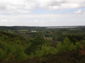 Pårup Hede