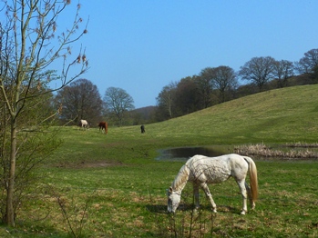 Søllerød Naturpark