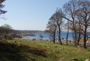 Svaneke Nordskov og Gule Hald