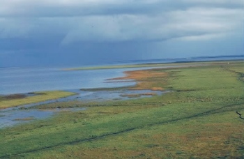 Tipperne og Værnengene