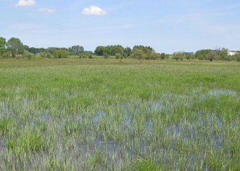 Urup Dam