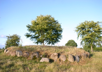 Gravhøje i Vedsted